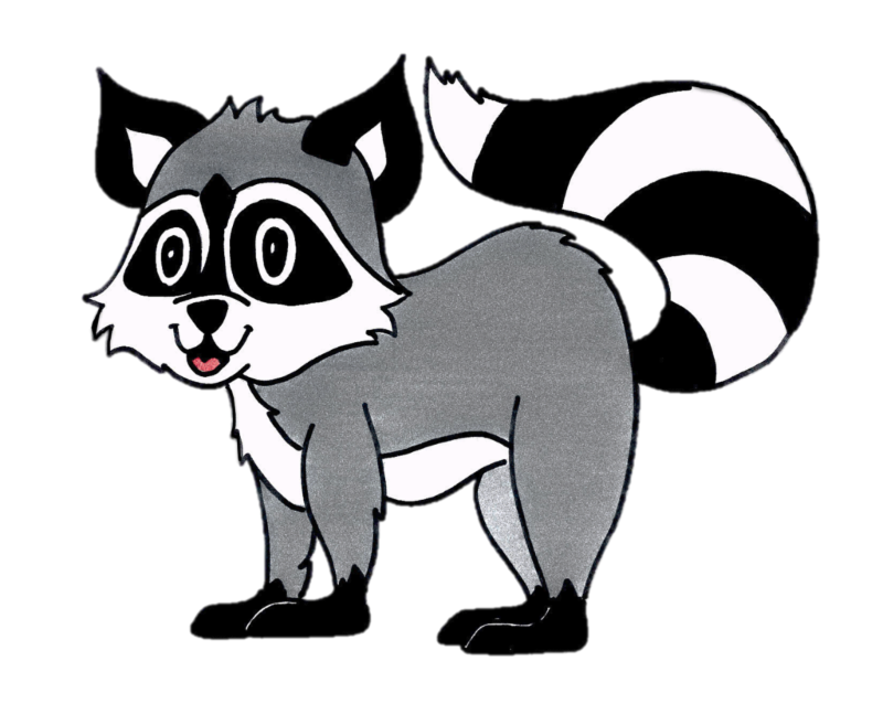 800x638 Drawing Raccoon Tail Transparent Png Clipart Free Download