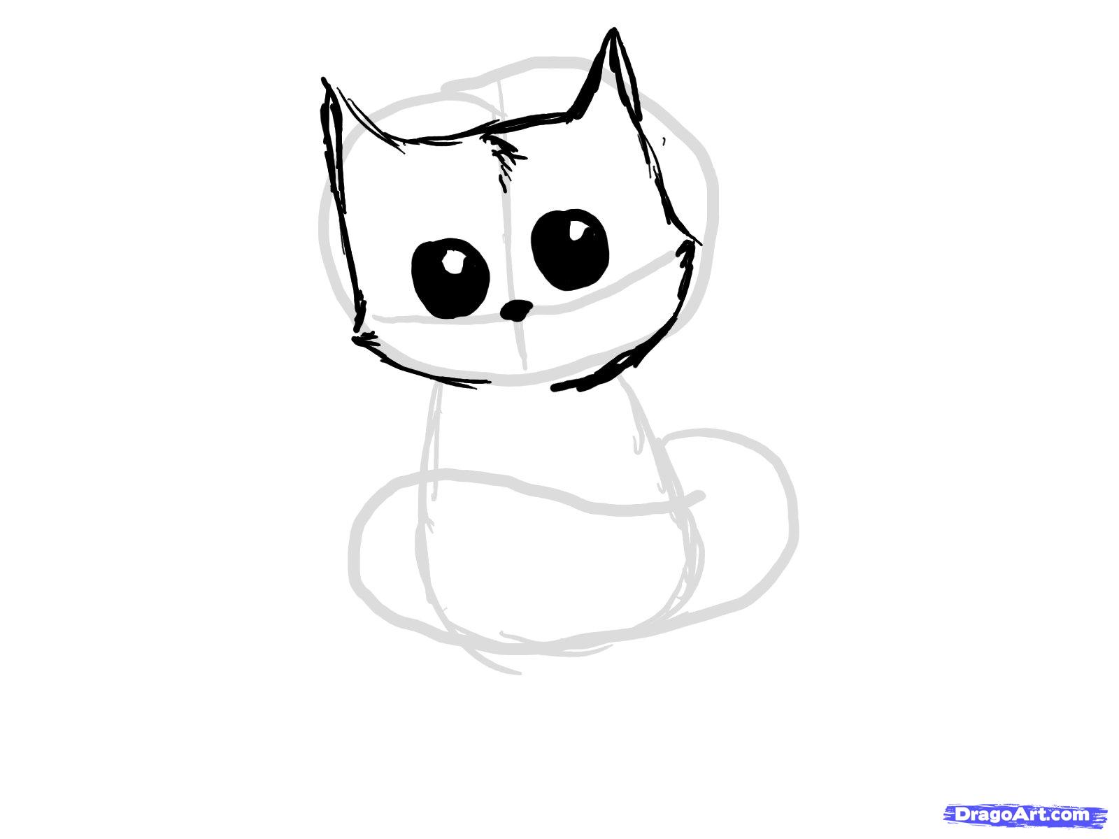 1600x1200 How To Draw A Cute Chibi Racoon, Step