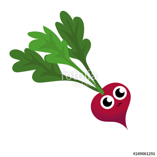 500x500 Funny Happy Radish Vegetable Drawing Illustration Isolated Stock