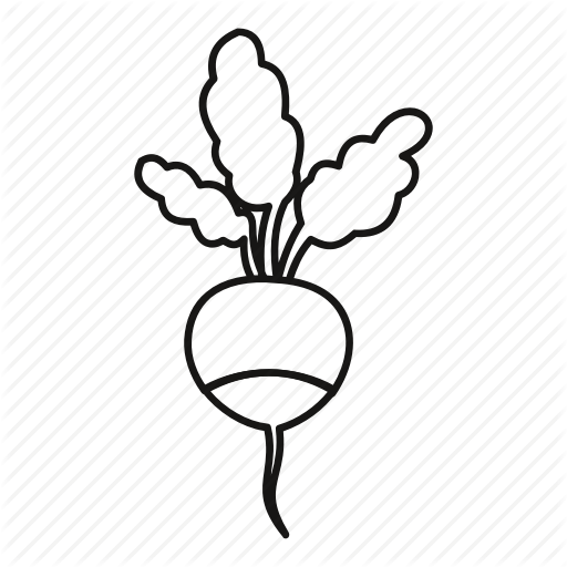 512x512 Radish Vector Outline Transparent Png Clipart Free Download