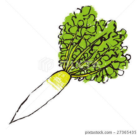 450x433 Radish Watercolor Drawing Hand Painted