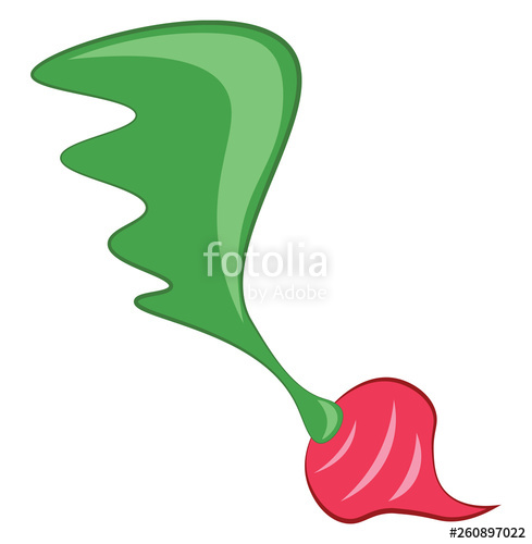 489x500 An Orange Radish With Long Stem Freshly Plucked From The Garden