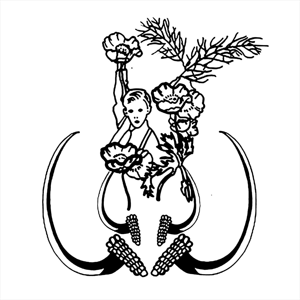 1200x1200 carnival rag eli drabman