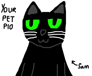 300x250 Draw Your Pets Pio
