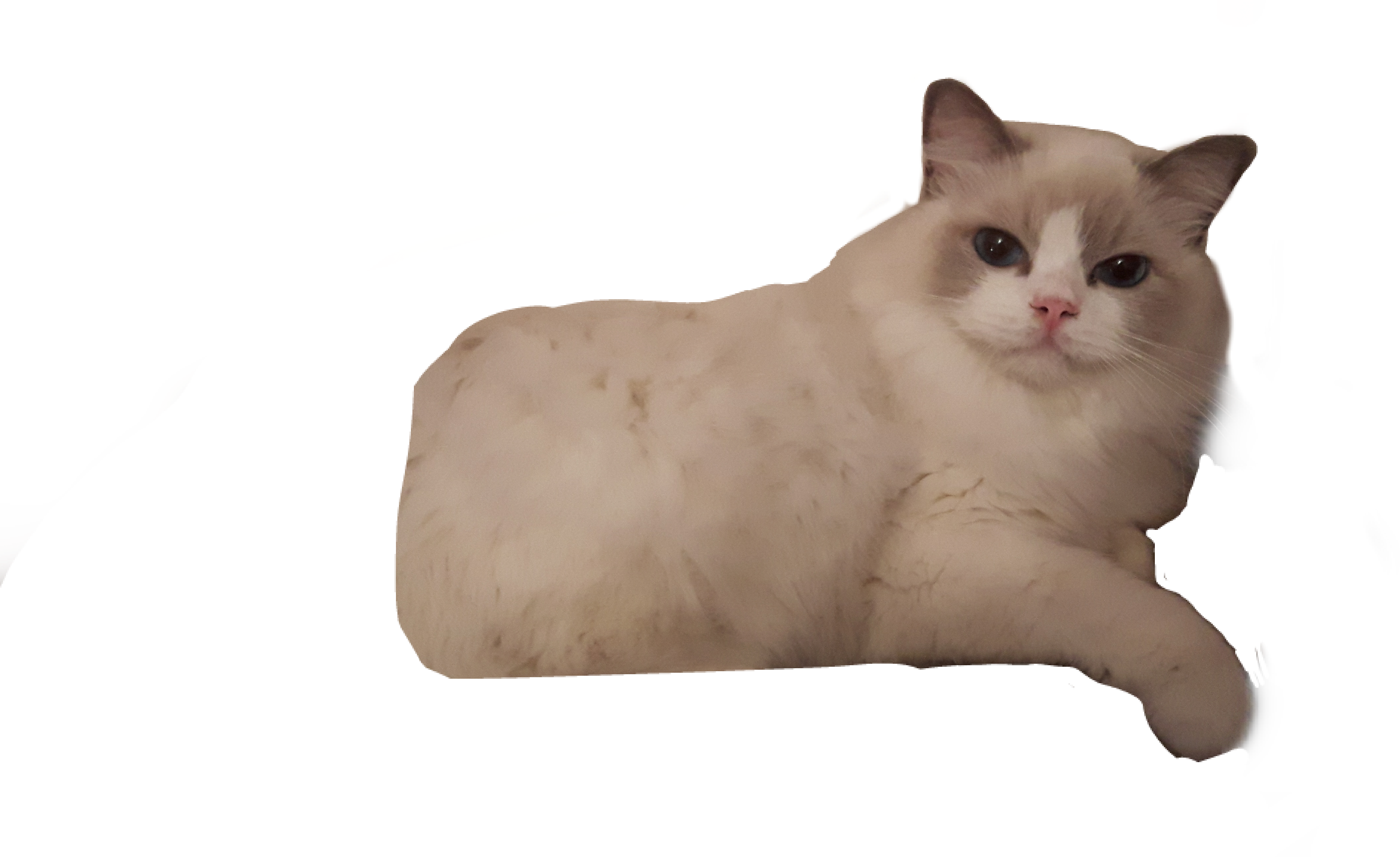 2804x1716 the newest ragdoll stickers