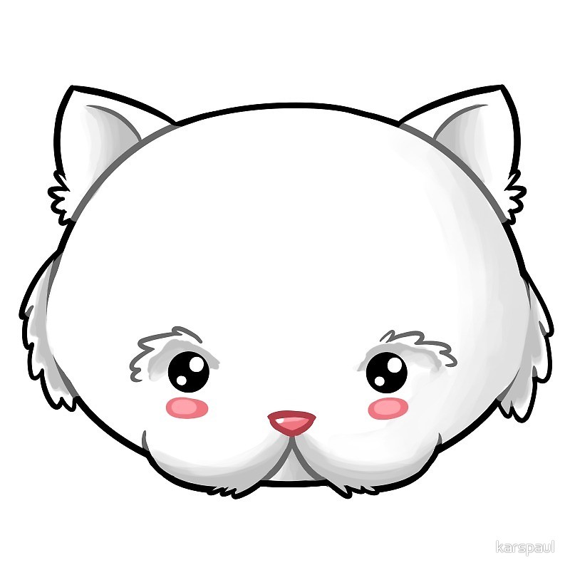 800x800 white ragdoll cat kawaii