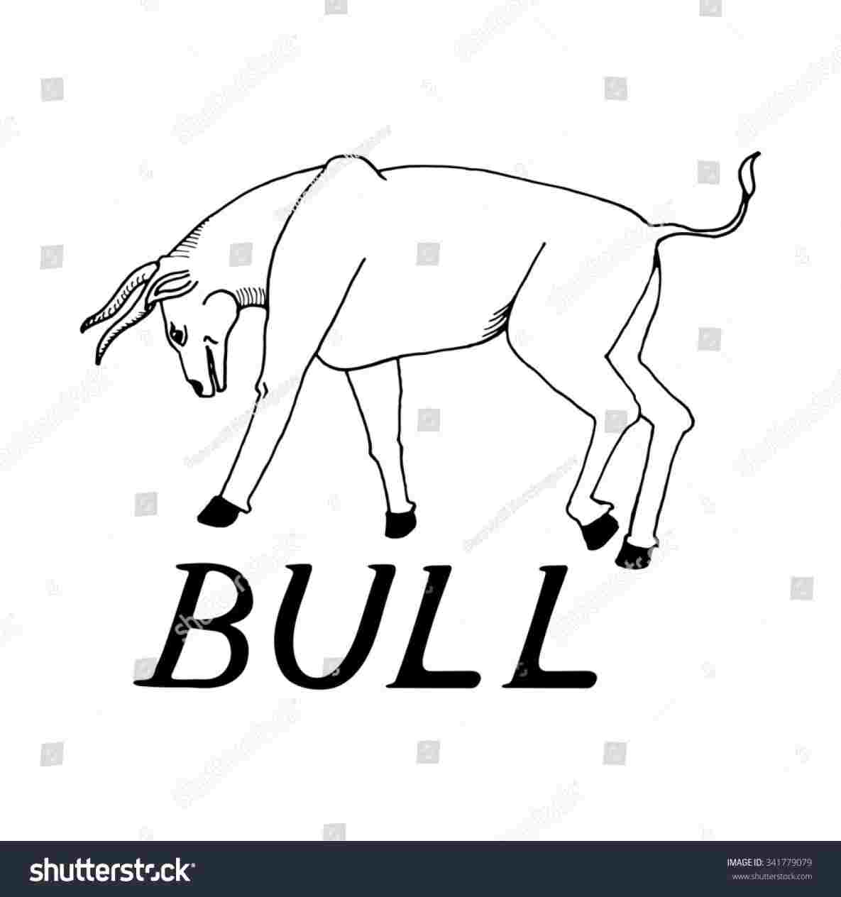 1185x1264 realistic raging bull bull drawing