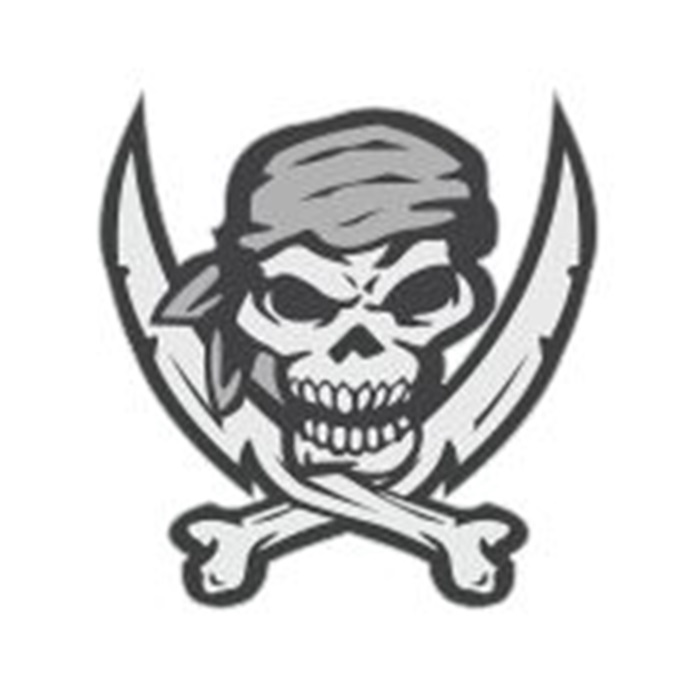 700x700 Raiders Cham
