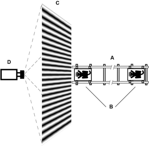 512x502 Schematic Drawing Of The Test Procedure