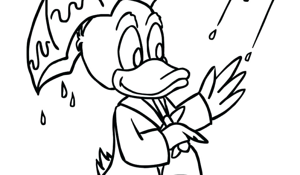 1024x600 Coloring Sheets Of Rain Pages Rainbow Dash Magic Free Rainforest