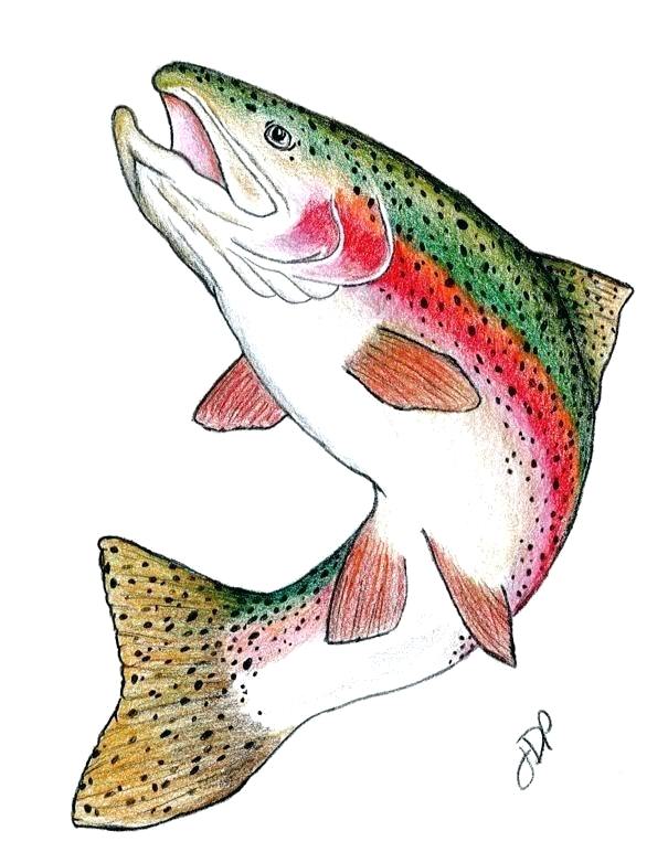 605x782 Rainbow Drawing A Simple Drawing Of Rainbow Behind The Cloud