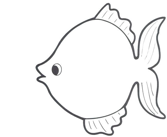 650x534 Fish Shape Template Coloring To Sweet Best Ideas On Draw Templates