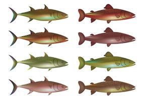 286x200 Rainbow Trout Free Vector Art