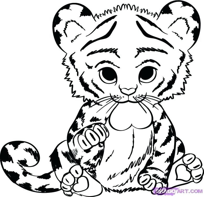 780x752 Coloring Pages Jungle Animals Coloring Pages Jungle Animals