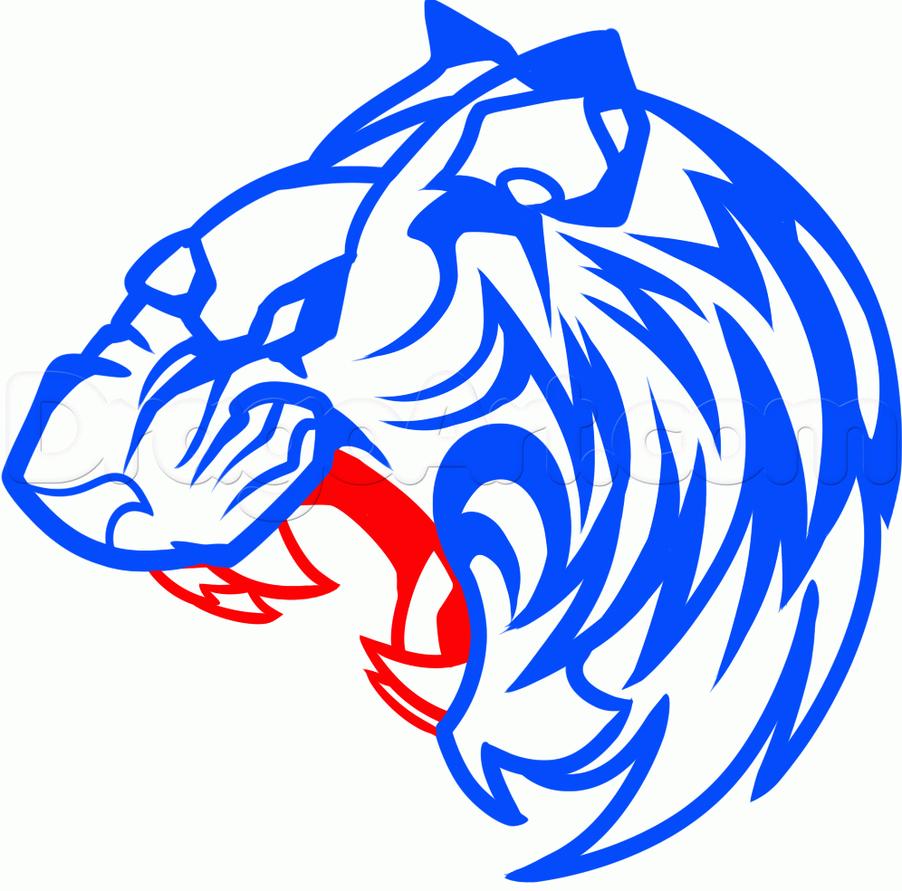 996x984 How To Draw A Roaring Tiger, Step