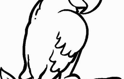 420x270 Rainforest Animals Coloring Pages Free Luxury Fresh Drawings Animals