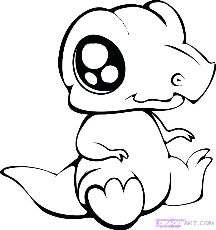 692x739 Coloring Pages Of Animals In The Rainforest