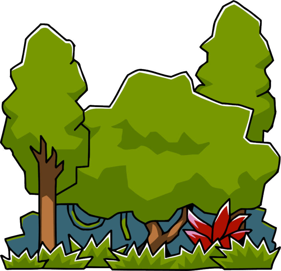 907x876 Collection Of Free Rainforest Drawing Scenery Download On Ui Ex