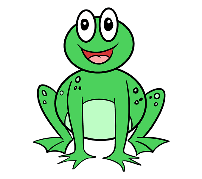 678x600 Drawing Frogs Rainforest Frog Transparent Png Clipart Free