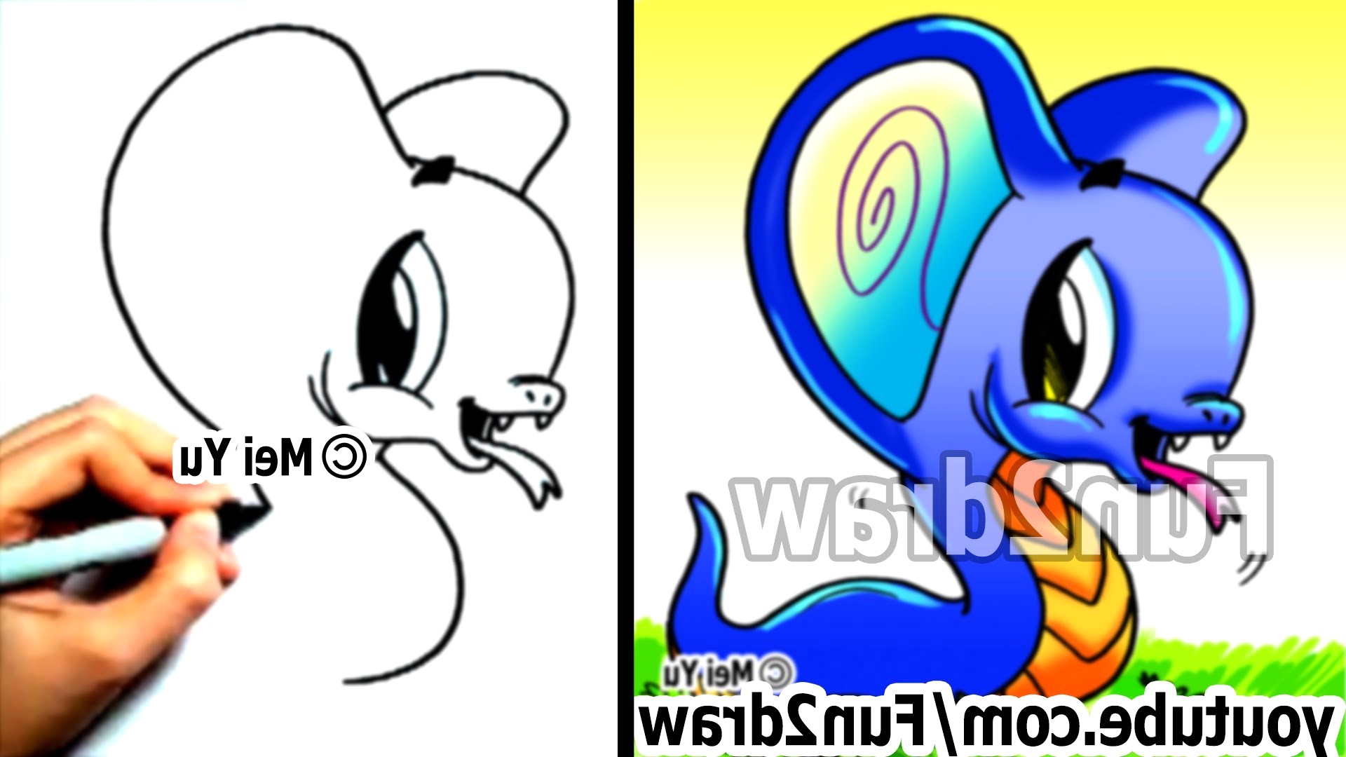 1920x1080 Rainforest Drawing Easy Animals Cartoons