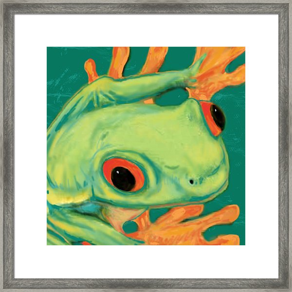 600x600 rainforest frog stylised pop art drawing portrait poster drawing