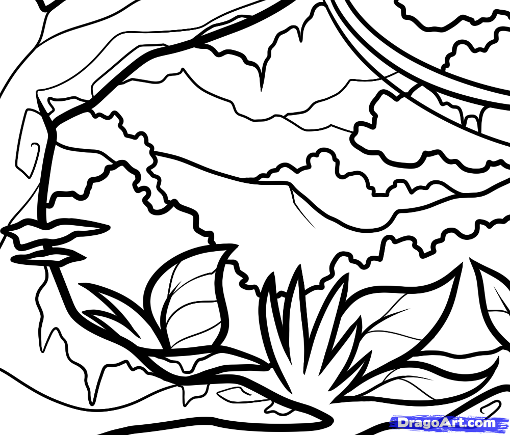 1000x854 Rainforest Drawing Simple For Free Download