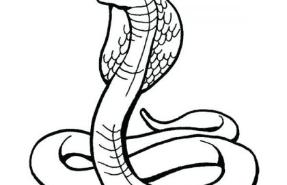 420x270 Rainforest Animals Coloring Pages Free Elegant Free Coloring Pages