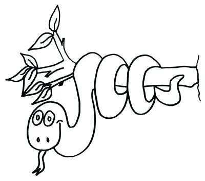 400x352 Rainforest Animals Coloring Pages New Drawings Easy Animals