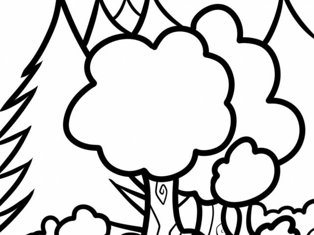 640x480 Rainforest Clipart Easy