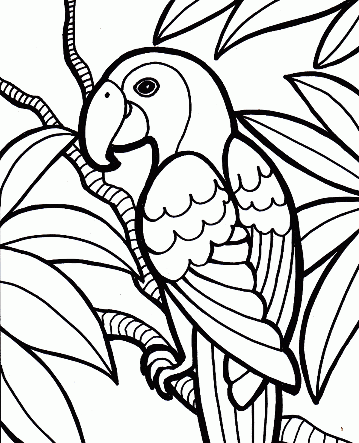 1188x1463 Rainforest Coloring Pages To Print For Kids Printable Coloring