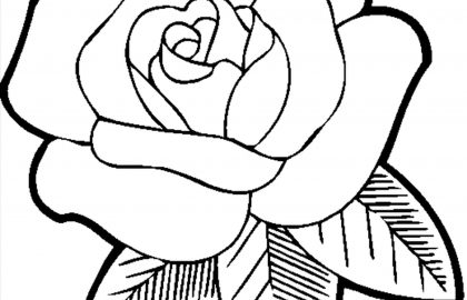 420x270 Safari Coloring Pages How To Draw A Rainforest Step Jungle Easy