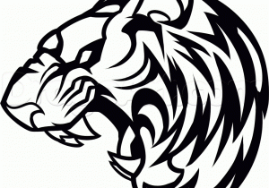 300x210 Tiger Face Drawing Easy How To Draw A Roaring Tiger, Stepstep