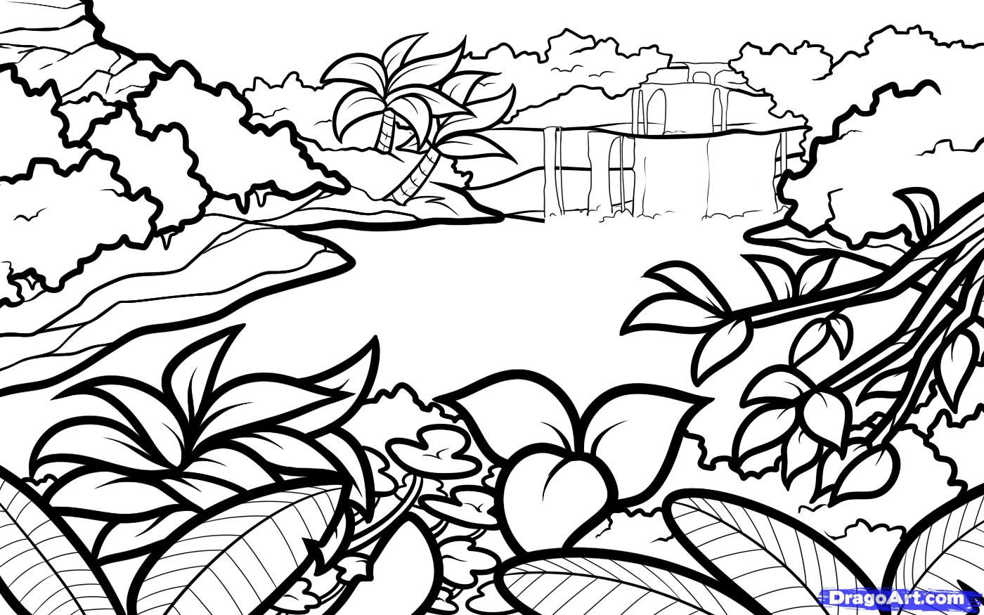 Rainforest Drawing For Kids