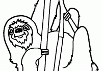 200x140 Rainforest Coloring Pages To Print For Kids Printable Coloring