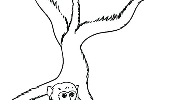 585x329 Rainforest Monkey Coloring