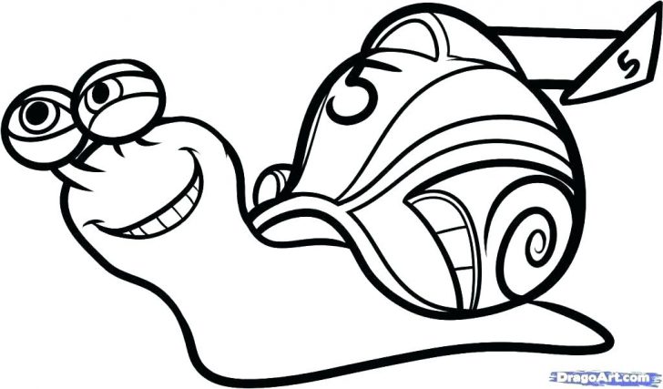 728x427 Snail Rainforest Animals Coloring