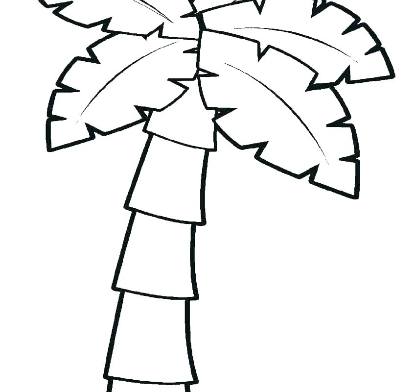 848x800 Trees Coloring Pages Betterfor