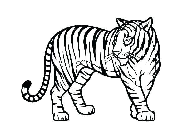 615x439 Coloring Pages Jungle Animals Animal Coloring Pages For Toddlers