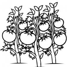 230x230 Pretty Ideas Coloring Pages Plants Of Plant Science Flowers And Vs