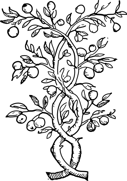 420x598 Rainforest Coloring Pages Coloring Now Blog Archive