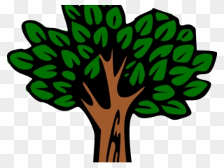 320x240 Tree Python Clipart Rainforest Snake