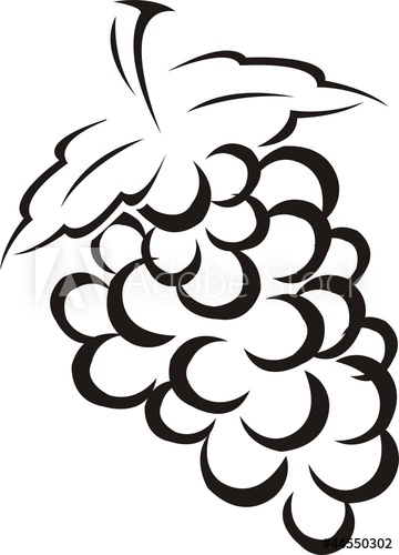 360x500 Grappe De Raisin