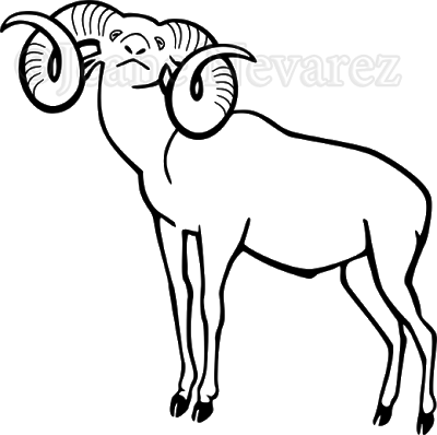 400x398 Drawing Sheep Ram Horn Transparent Png Clipart Free Download