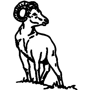 300x300 happy ram animal character drawing ram animal clipart