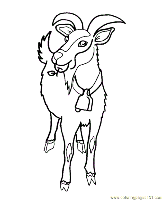 670x820 How To Draw A Ram Head