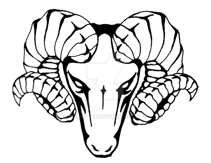 736x569 Ram Horns Drawing