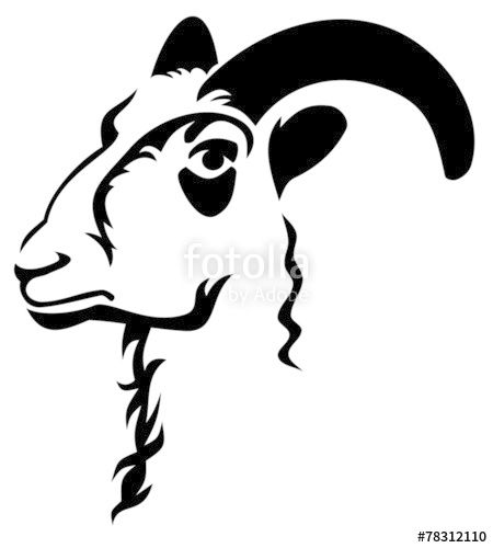 450x500 Ram Head Stock Image And Royalty Free Vector