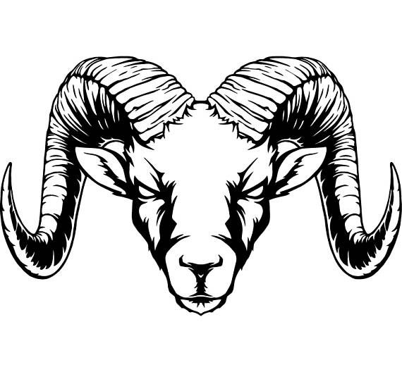 570x528 Ram Head Drawing