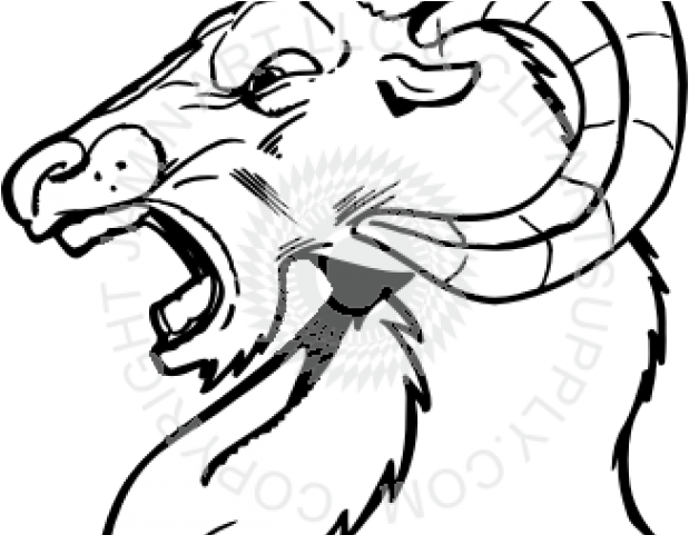 619x481 Download Hd Ram Head Cliparts