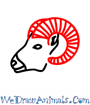 300x350 how to draw a bighorn sheep